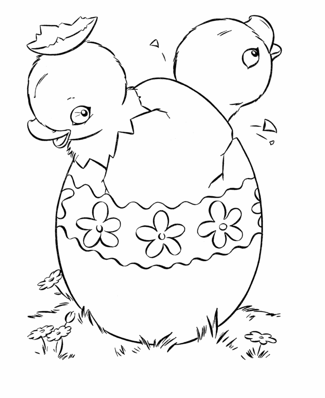 Easter Chick Coloring Pages Hatching Baby Chicks Page