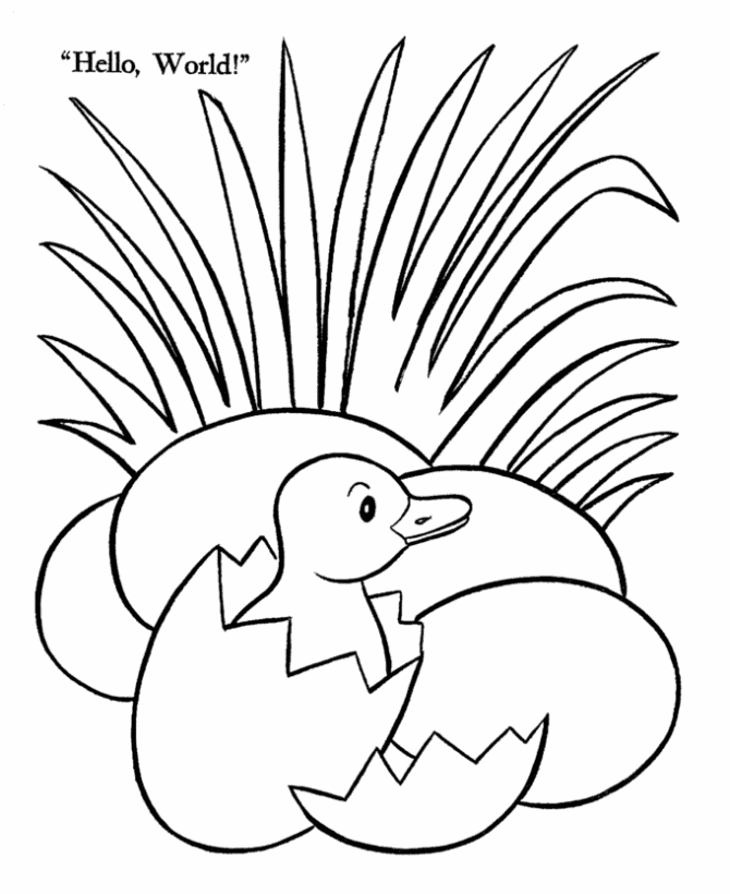 This Easter Ducks coloring page shows a baby duck hatching.