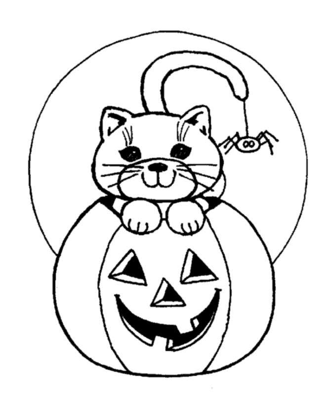 Scary Halloween Coloring Page Cat and Spider Halloween